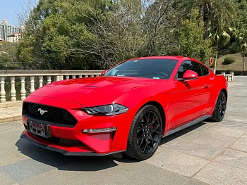Mustang 2019 2.3L EcoBoost купить на сайте DeffCars