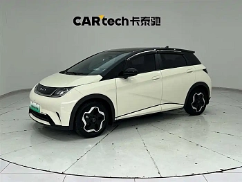 Dolphin 2021 model 405km fashion version купить по цене 1 915 837 ₽  на сайте DeffCars