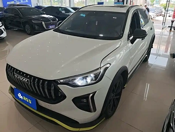 Haval Red Rabbit 2021 Ejaculation Edition 1.5T Silver Rabbit Haval Red Rabbit 2021 Ejaculation Edition 1.5T Silver Rabbit купить по цене 1 625 063 ₽  на сайте DeffCars