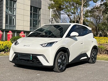 Seagull 2025 model 305km free version купить на сайте DeffCars