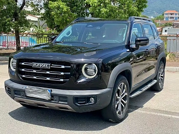 Haval Big Dog 2021 1.5T DCT Two-wheel drive Horse Dog-Wangcai Edition купить по цене 1 773 752 ₽  на сайте DeffCars