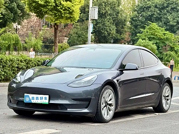 Model 3 2022 rear-wheel drive version купить на сайте DeffCars