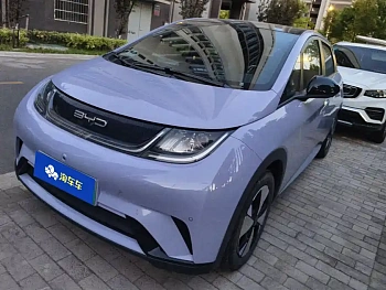 Dolphin 2023 model 420km fashion version купить по цене 2 003 805 ₽  на сайте DeffCars