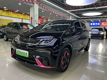 Dolphin 2021 model 405km fashion version Dolphin 2021 model 405km fashion version купить по цене 1 686 712 ₽  на сайте DeffCars