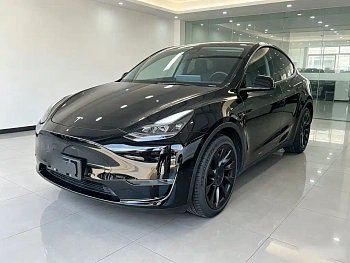 Model Y 2021 Standard Range Rear Drive Edition купить на сайте DeffCars
