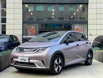 Dolphin 2023 model 420km fashion version купить по цене 1 983 742 ₽  на сайте DeffCars