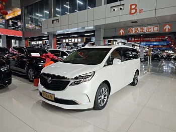 Buick GL8 2020 ES Luzun 653T Exclusive Model купить по цене 3 922 690 ₽  на сайте DeffCars