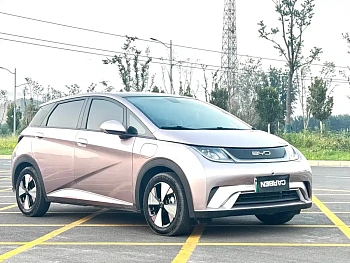 Dolphin 2023 model 420km fashion version купить по цене 1 859 229 ₽  на сайте DeffCars