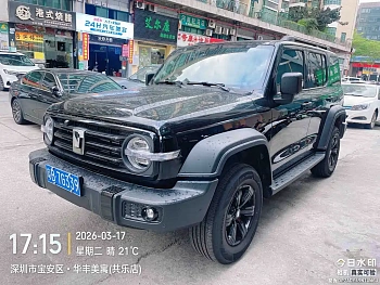 Tank 300 2025 2.0T Gasoline Conqueror купить на сайте DeffCars