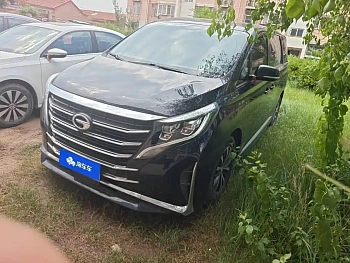 Trumpchi M8 2021 Lead Show Series 390T Exclusive Edition купить на сайте DeffCars