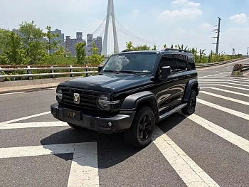 TANK 300 2021 off-road version 2.0T Conqueror купить на сайте DeffCars