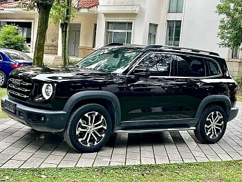 Haval Big Dog 2021 1.5T DCT Two-wheel drive Border Horse Edition купить по цене 1 887 204 ₽  на сайте DeffCars