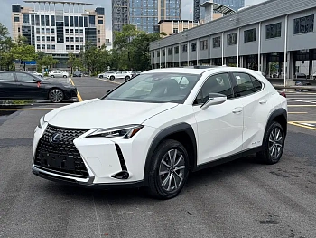 Lexus UX New Energy 2020 300e Pure Joy Edition купить на сайте DeffCars