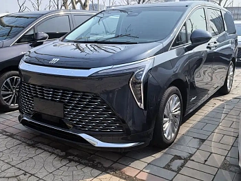 Century 2025 2.0T seven-seat Yuanshi Edition купить на сайте DeffCars