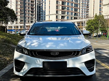 Binrui 2020 facelift 1.4T CVT Asian Games version купить на сайте DeffCars