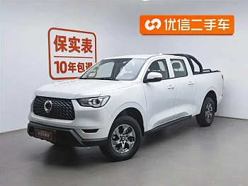 Cannon 2021 2.0T commercial version automatic diesel two-wheel drive elite long box GW4D20M купить на сайте DeffCars