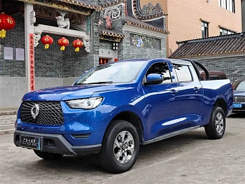 Cannon 2021 2.0T commercial version automatic diesel two-wheel drive elite long box GW4D20M купить на сайте DeffCars