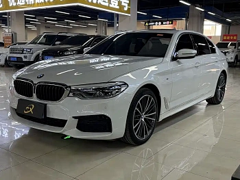 BMW 5 Series 2020 530Li xDrive M Sports Package купить на сайте DeffCars