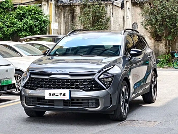 Lion Platinum Extends the World 2023 2.0T Two-wheel Drive Premium Edition купить на сайте DeffCars