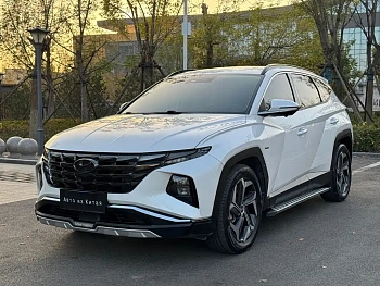 Tucson 2021 Tucson L 1.5T DCT LUX Premium Edition купить на сайте DeffCars