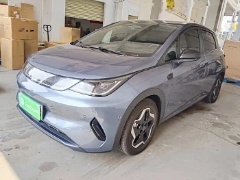 Dolphin 2025 smart driving version 420km free version купить на сайте DeffCars