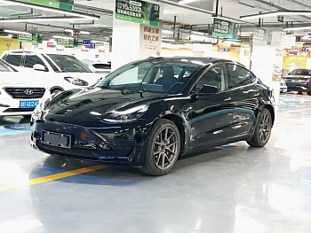 Model 3 2022 rear-wheel drive version купить на сайте DeffCars