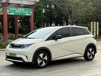 Dolphin 2023 model 420km fashion version купить по цене 2 033 900 ₽  на сайте DeffCars