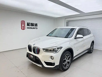 BMW X1 New Energy 2018 xDrive25Le Luxury Model купить на сайте DeffCars