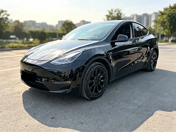 Model Y 2021 standard range rear-wheel drive version купить на сайте DeffCars