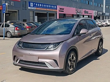 Dolphin 2021 model 405km fashion version купить по цене 1 738 214 ₽  на сайте DeffCars