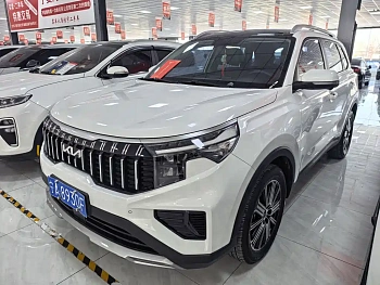 Zhipao 2021 Ace 2.0L Wonderful Edition купить на сайте DeffCars