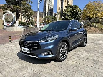 Ruiji 2020 EcoBoost 245 two-wheel drive Yaoxiang model купить на сайте DeffCars