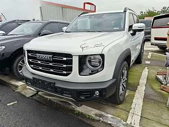 Haval Big Dog 2021 1.5T DCT Two-wheel drive Horse Dog Edition купить по цене 1 761 447 ₽  на сайте DeffCars