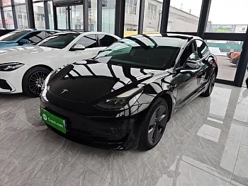 Model 3 2022 rear-wheel drive version купить на сайте DeffCars