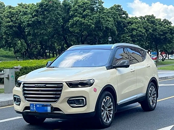 Haval H6 2020 1.5GDIT Automatic Platinum Deluxe Edition купить по цене 1 771 628 ₽  на сайте DeffCars