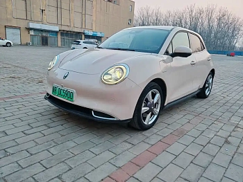 Euler Good Cat 2022 model 400km standard battery life premium type ternary lithium купить на сайте DeffCars