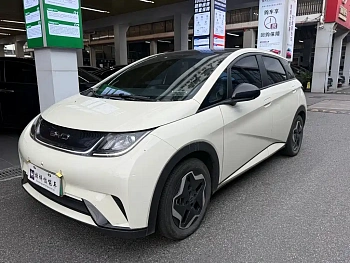 Dolphin 2021 model 405km fashion version купить по цене 1 819 480 ₽  на сайте DeffCars