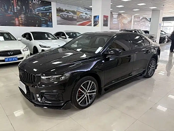 Xingrui 2023 2.0TD only comes in green version купить на сайте DeffCars