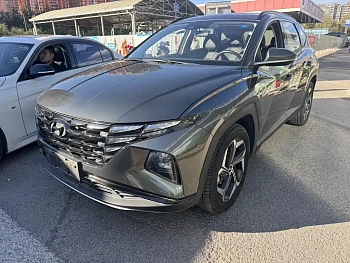 Tucson 2021 Tucson L 1.5T DCT LUX Premium Edition купить на сайте DeffCars