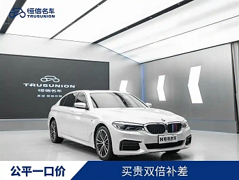 BMW 5 Series 2020 530Li Leading M Sports Package купить на сайте DeffCars