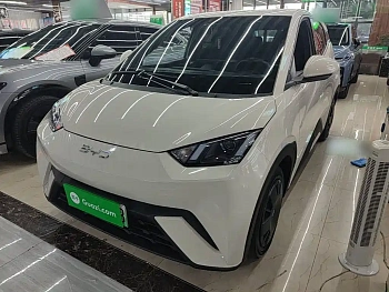 Seagull 2025 305km Vitality Edition купить на сайте DeffCars
