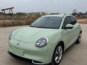 Euler Good Cat 2022 model 400km standard battery life luxury model ternary lithium купить на сайте DeffCars