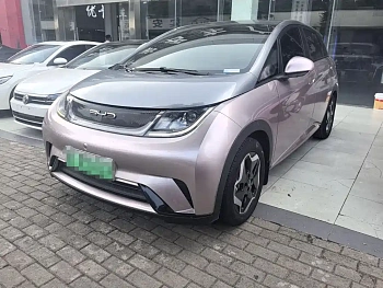 Dolphin 2021 model 405km fashion version купить по цене 1 751 504 ₽  на сайте DeffCars