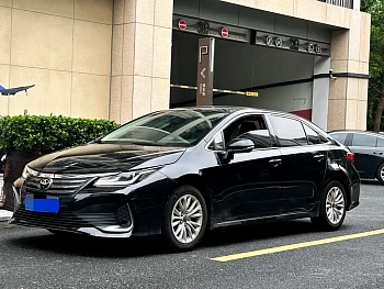 Asia Lion 2022 2.0L Elite Edition купить на сайте DeffCars