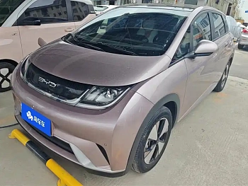 Dolphin 2023 model 420km fashion version купить по цене 1 912 731 ₽  на сайте DeffCars