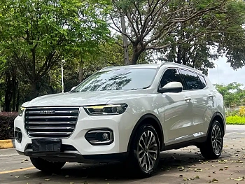 Haval H6 2020 2.0GDIT Automatic Platinum Champion Edition купить по цене 1 762 177 ₽  на сайте DeffCars
