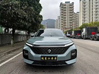 Baojun Valli 2021 1.5T Naquxing CVT flagship model купить на сайте DeffCars