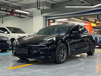 Model 3 2022 rear-wheel drive version купить на сайте DeffCars