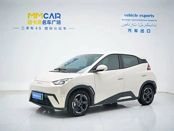 Seagull 2023 Flying Edition купить на сайте DeffCars