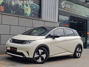 Dolphin 2023 model 420km fashion version купить по цене 2 017 180 ₽  на сайте DeffCars